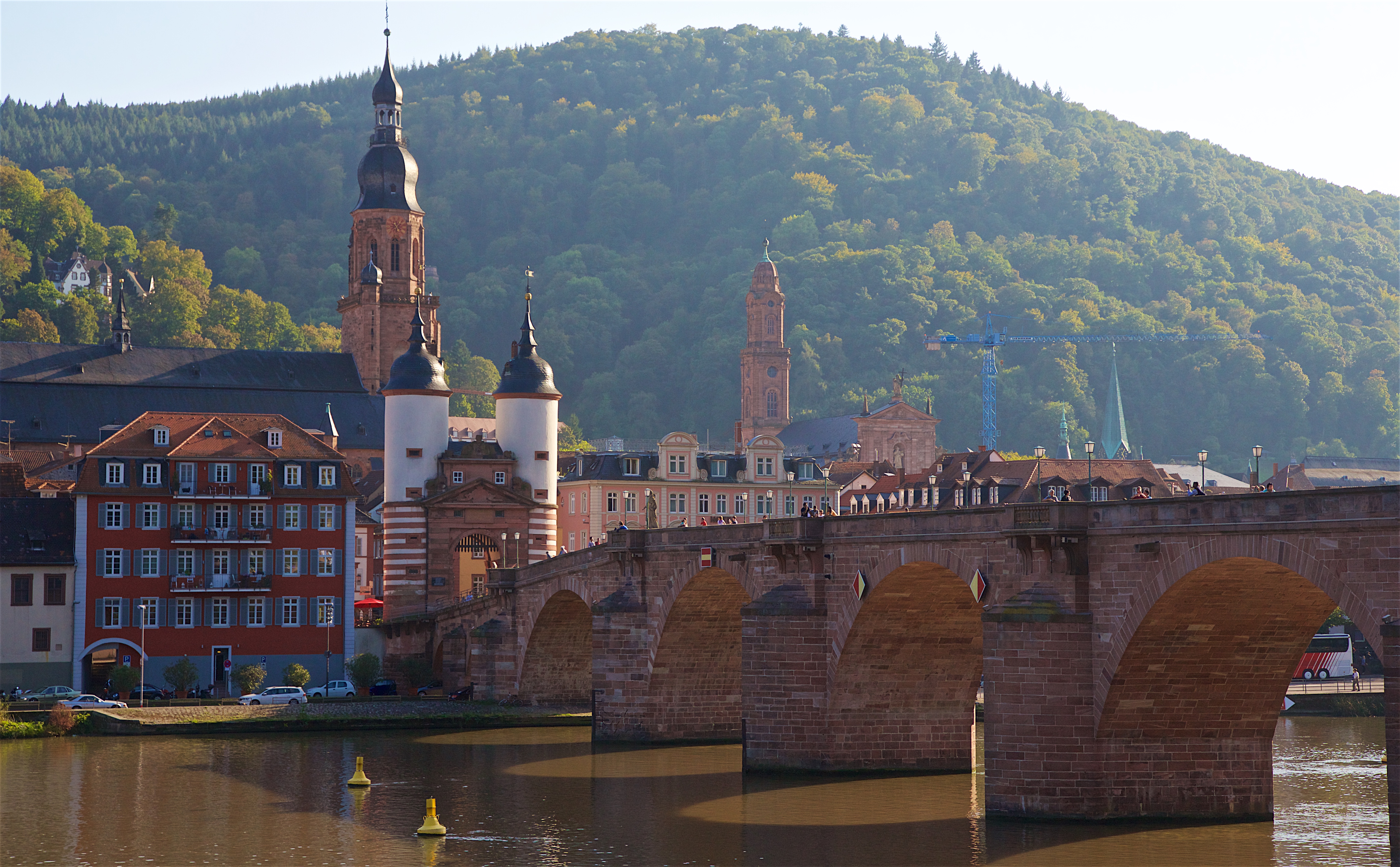 In Heidelberg soll der totale Klimaschutz absoluten Vorrang haben, fordern die Grünen.
