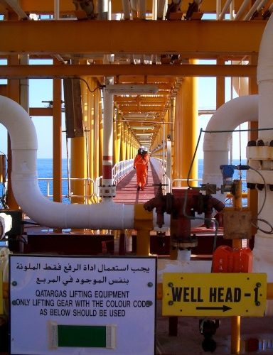 Klimabewegte und arabische Energieminister in Dubai und Doha: Gegensätzliche Forderungen